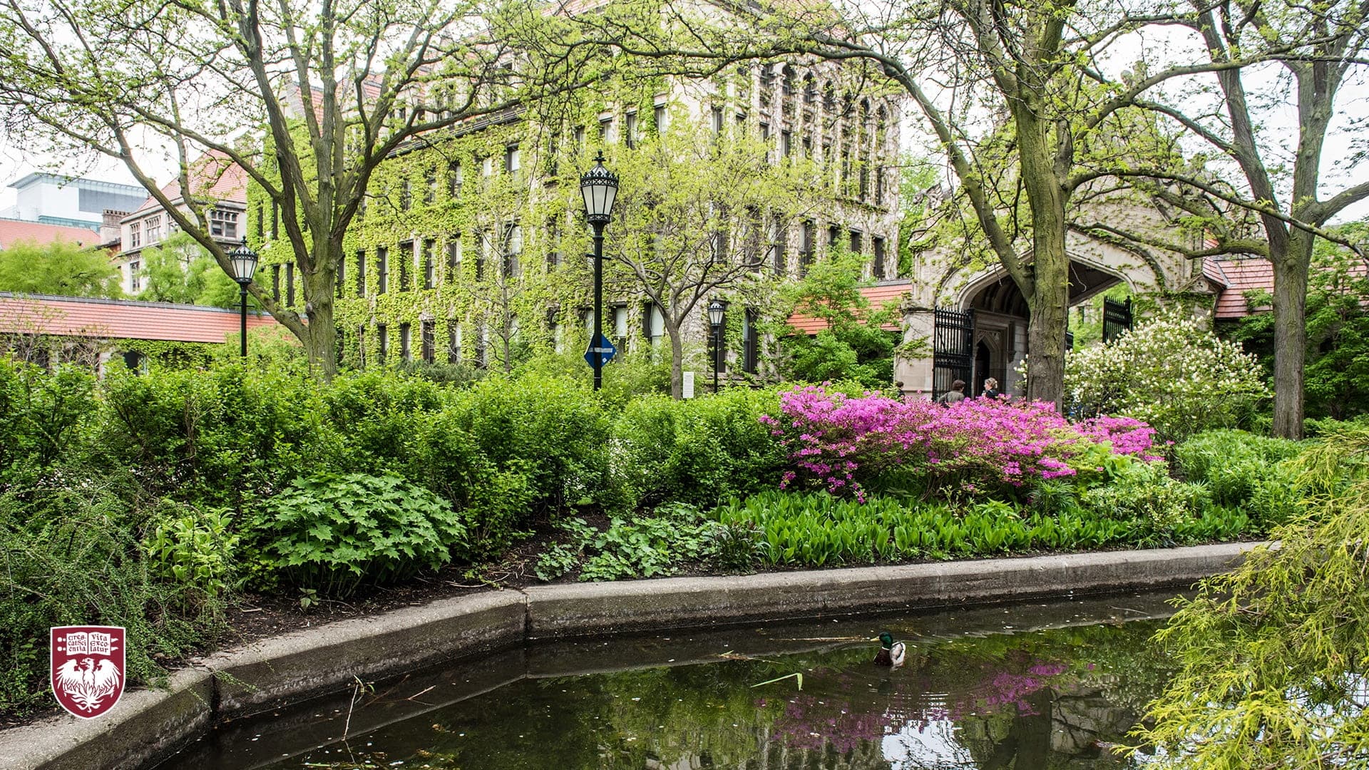 UChicago Campus